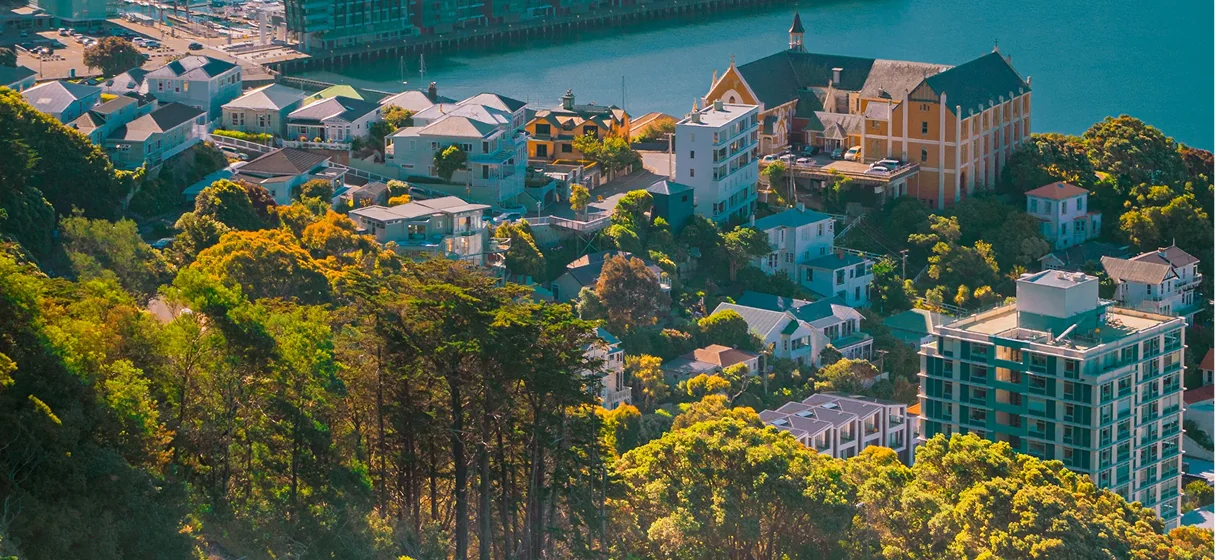 Wellington cityscape with harbour and urban landscape