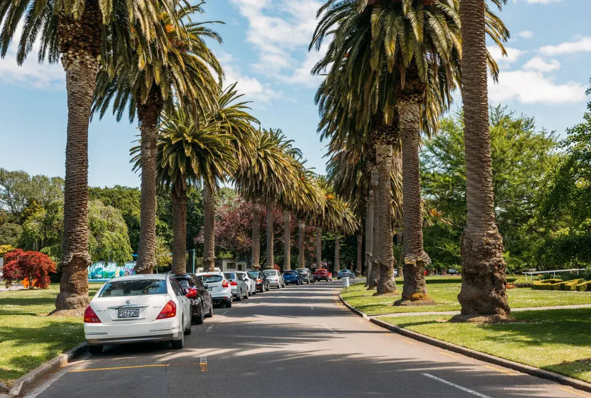 Palmerston North cityscape at sunset
