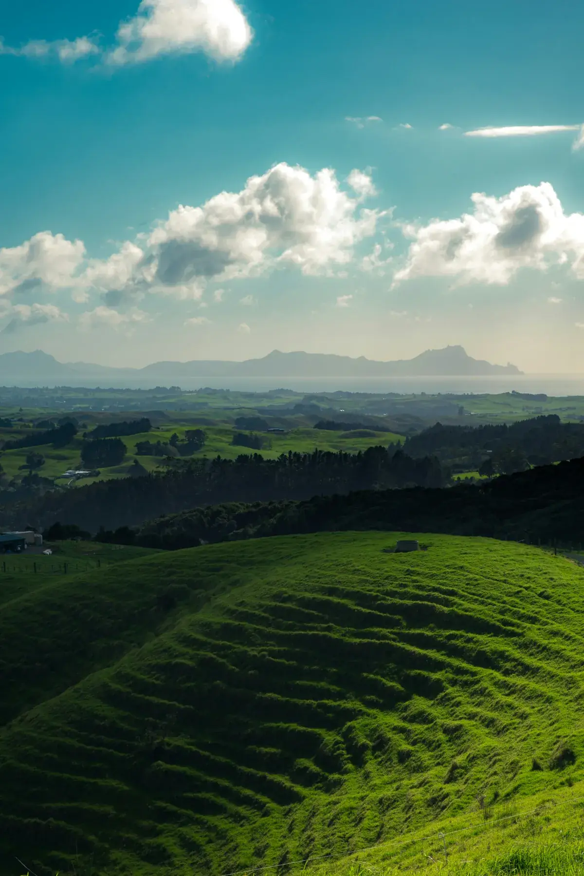 Whangarei harbor view at sunset